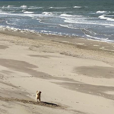 Natur pur, neues Ferienhaus O4 natureingebunden, Familien- und hundefreundlich eingezäunt Callantsoog Exterior foto