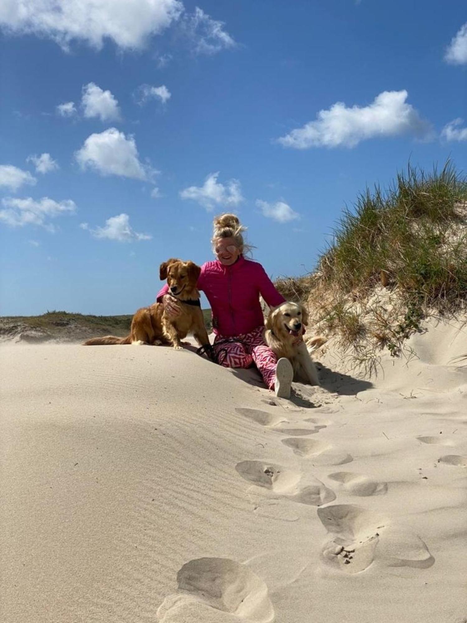 Natur pur, neues Ferienhaus O4 natureingebunden, Familien- und hundefreundlich eingezäunt Callantsoog Exterior foto
